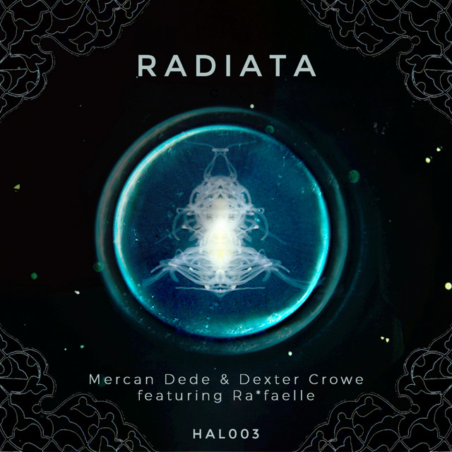 Radiata - 2020